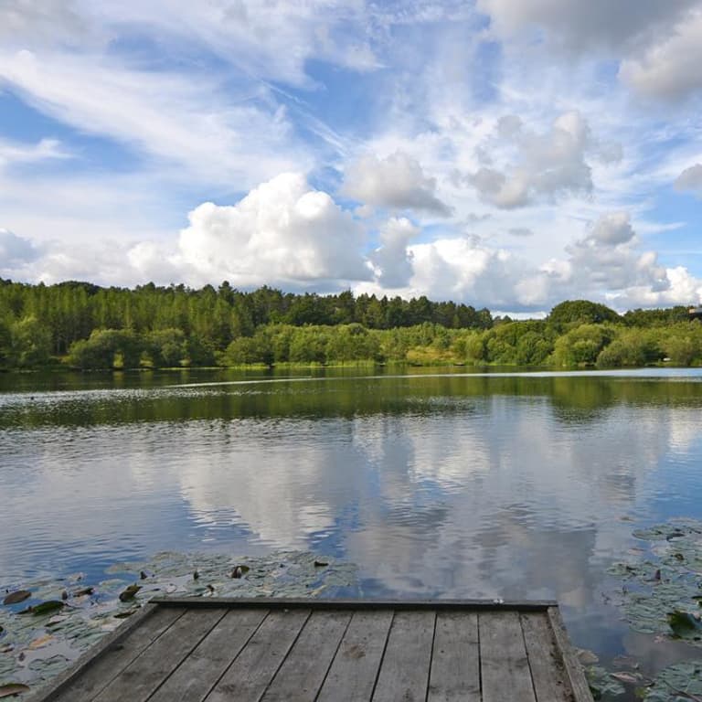 Cinderford Lake