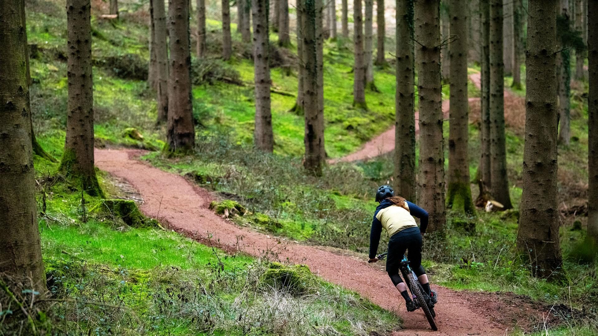 Cycle Trail in the Forest of Dean and Wye Valley