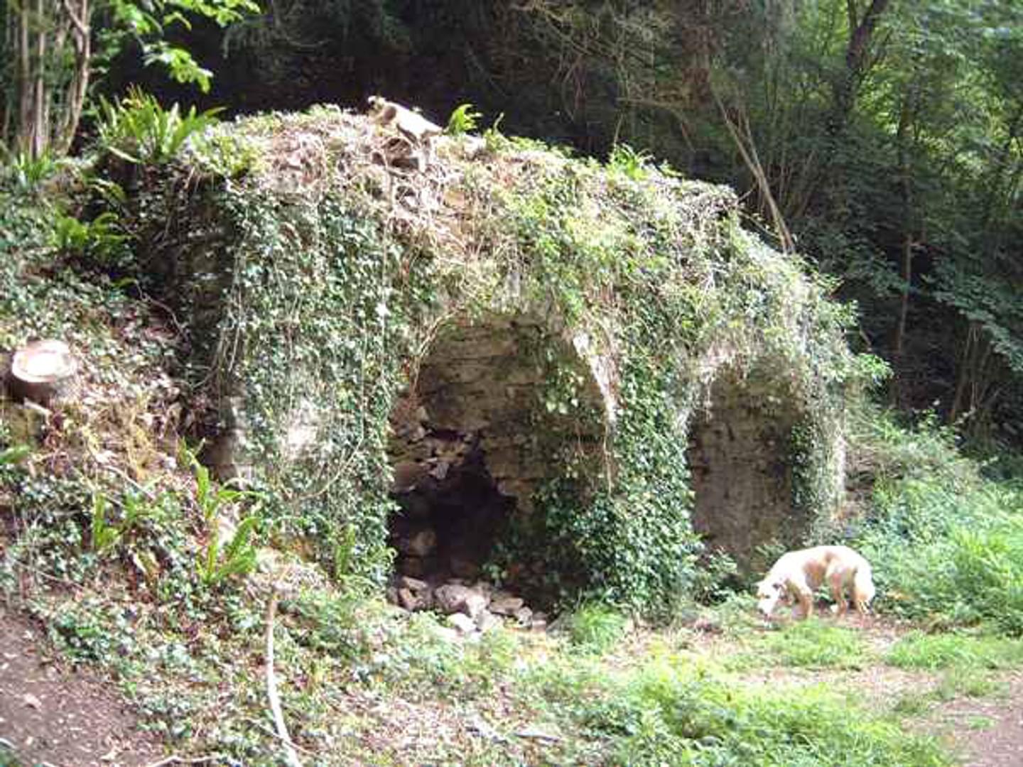 Lime Kilns in the Forest of Dean