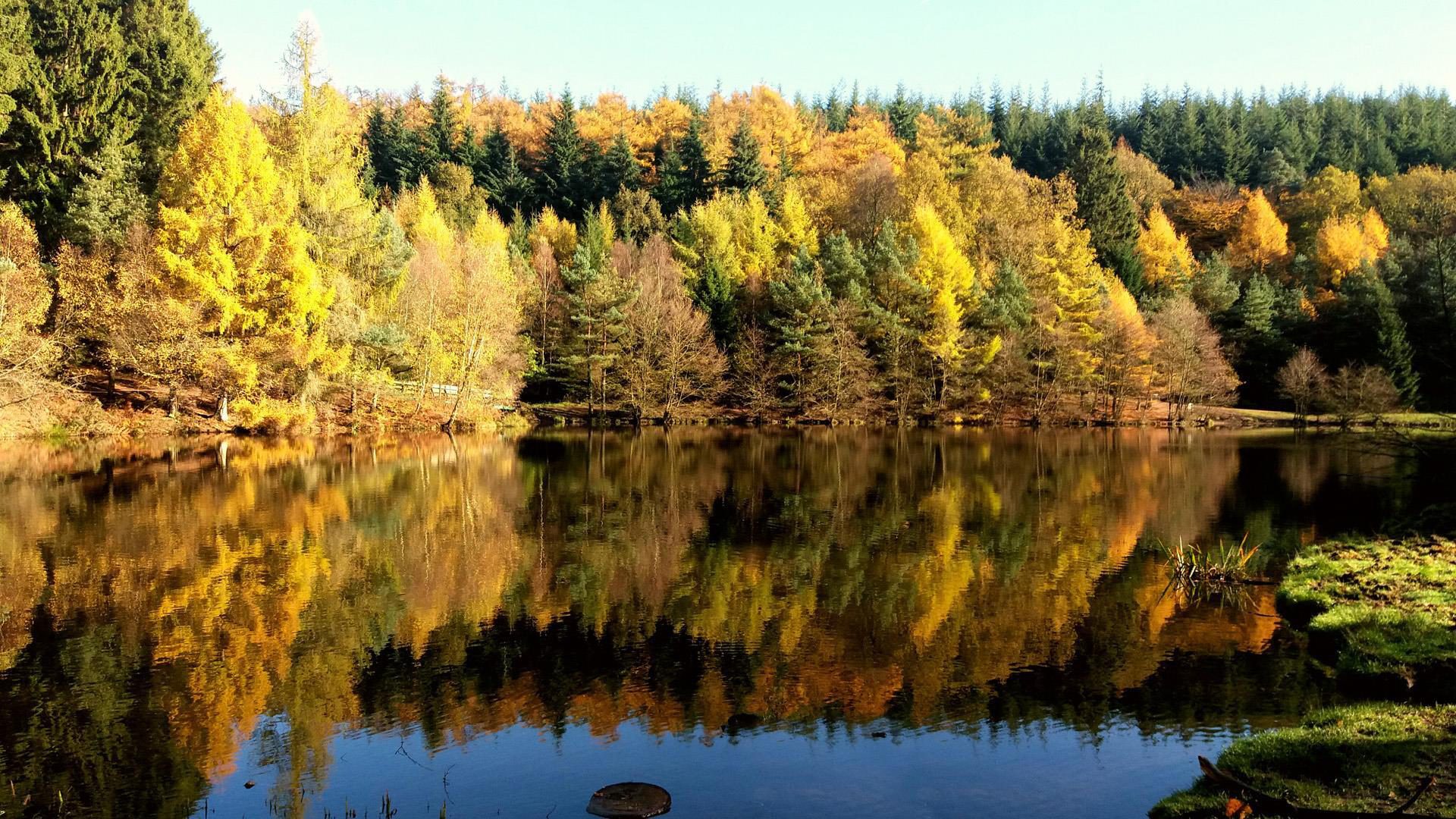 Mallards Pike in Autumn