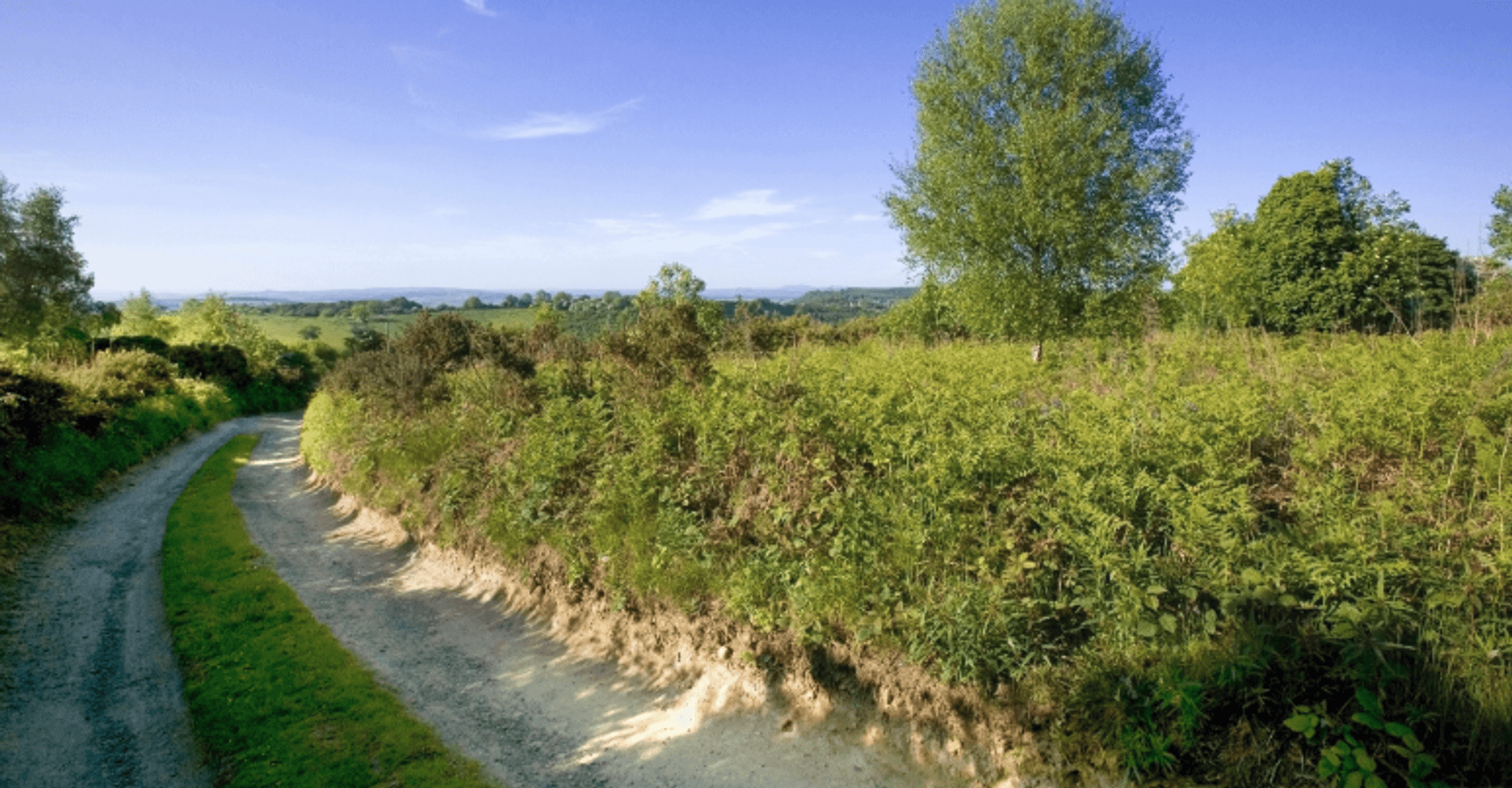 Parkrun in the Wye Valley