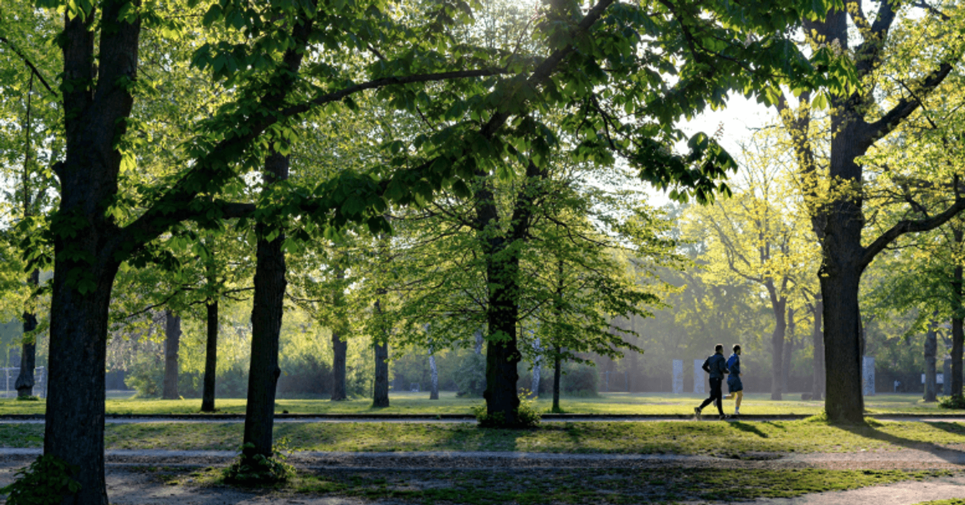 Parkrun in the Forest of Dean and Wye Valley