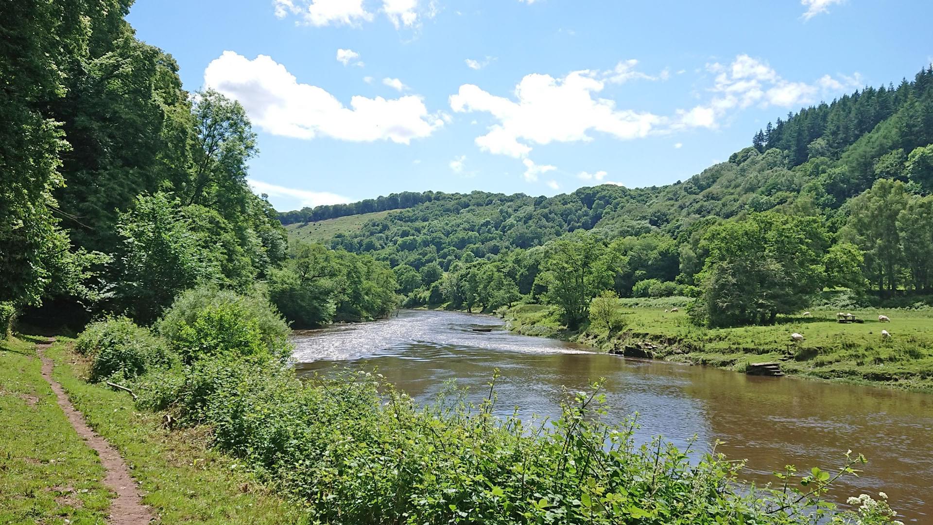 Things To Do Walking in the Forest of Dean and Wye Valley