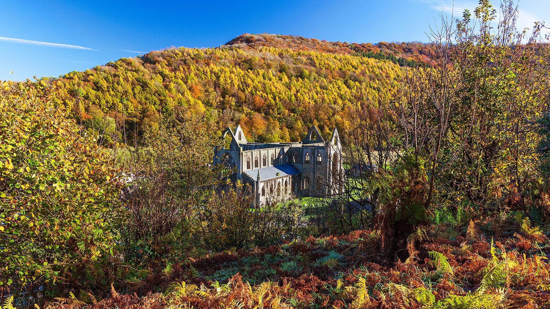 Tintern Abbey in Autum perfect for leaf peeping
