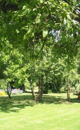 Forest Gate Campsite