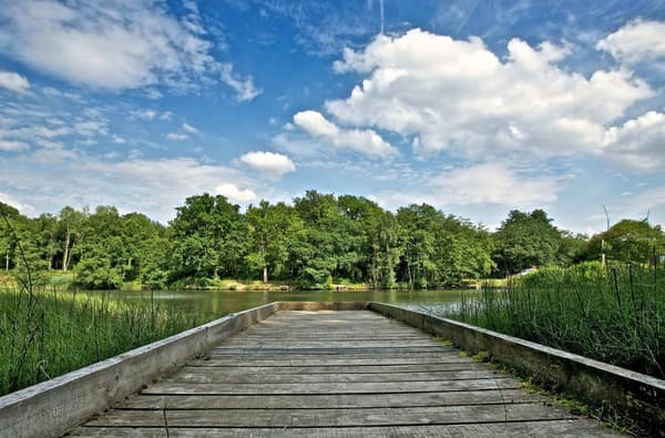 12 Easy Walks in the Forest of Dean and Wye Valley
