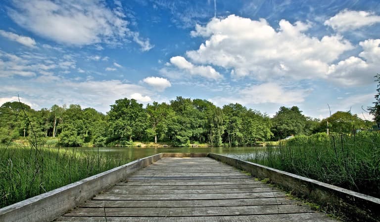 12 Easy Walks in the Forest of Dean and Wye Valley