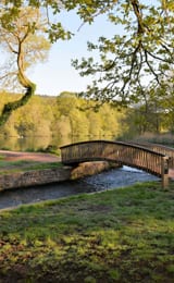 Cannop Ponds and bridge