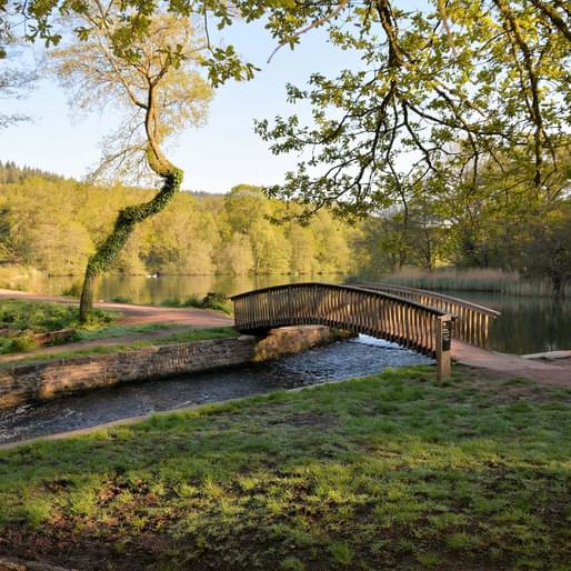 Cannop Ponds and bridge
