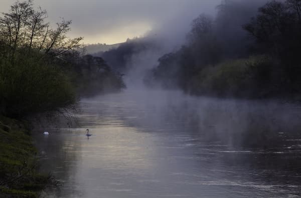 1 CB31 FB0 B283 A80 C91 A926 C537687 F96 A953943 F