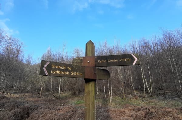 Speculation and Mireystock Sign