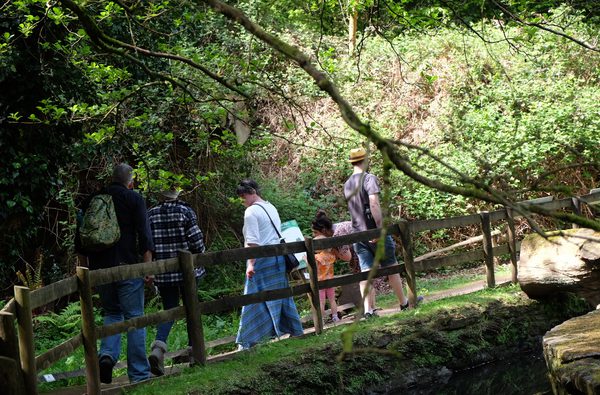 Dean Heritage Centre Forest Family Walk