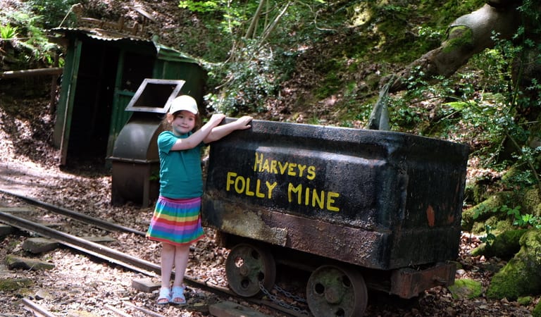 Dean Heritage centre - Kids go free