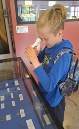 Discover Archeology at the Dean Heritage Centre