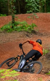 Forestry England Forest of Dean Cycle Centre