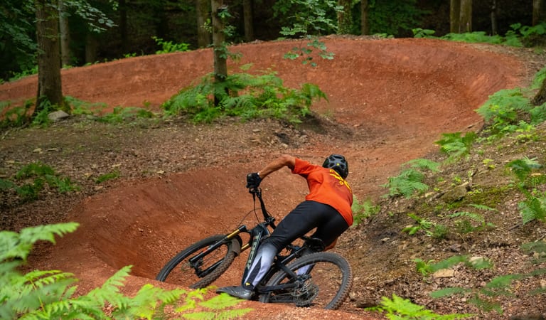 Forestry England Forest of Dean Cycle Centre