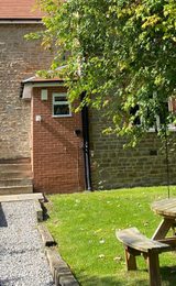 Back garden