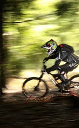 Biker in Forest credit Steve Hunt 2