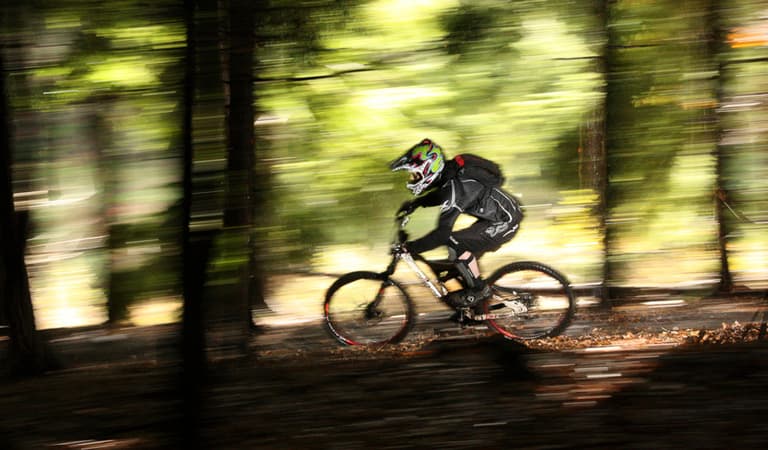Biker in Forest credit Steve Hunt 2