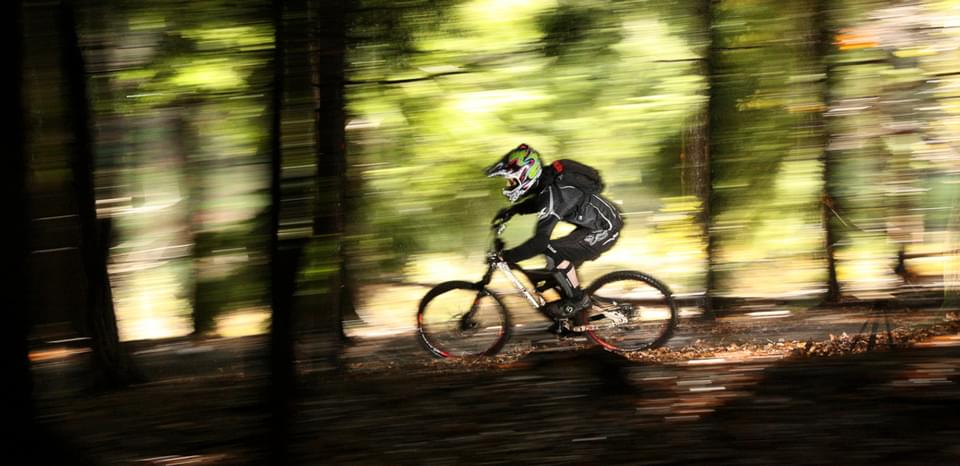 Biker in Forest credit Steve Hunt 2