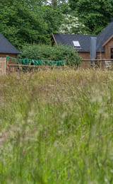 Hobbit Huts at Saltbox Escapes