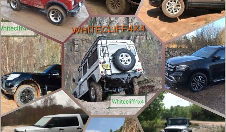Collage3