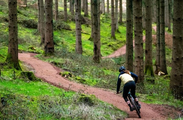 Cycle Trails in the Forest of Dean and Wye Valley