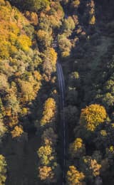 Driving in the Forest of Dean in Autumn birds eye view of the autumn colours and a road perfect for leaf peeping on the Royal Forest Driving Route