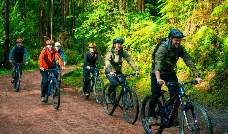 EMTB Riders in Forest of Dean