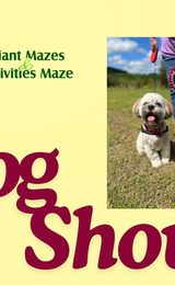 Elton Mazes Dog Show