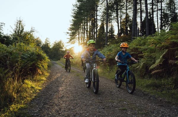 Family Cycling Trail in the Forest of Dean