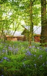 Forest Holidays in the Forest of Dean