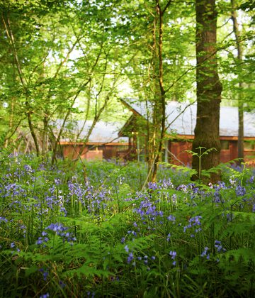 Forest Holidays in the Forest of Dean