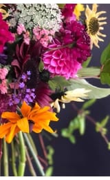 IMG 2791 2048x2048