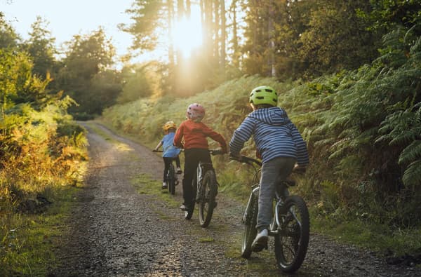 Kids Cycling the Colliers trail in the Forest of Dean