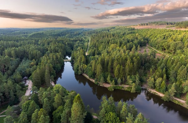 Mallards Pike aerial photo - credit Forestry England