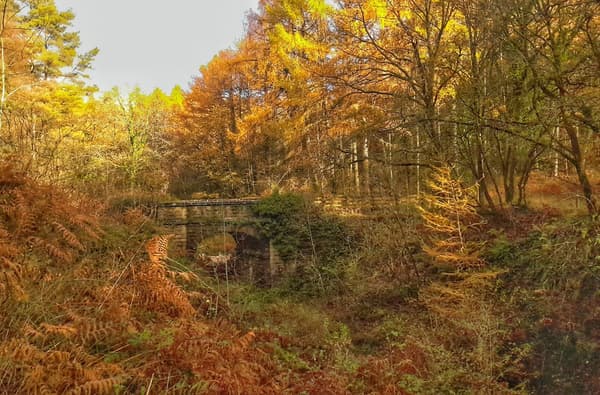Mireystock Bridge in Autumn