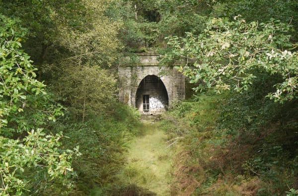 Speculation and Mireystock