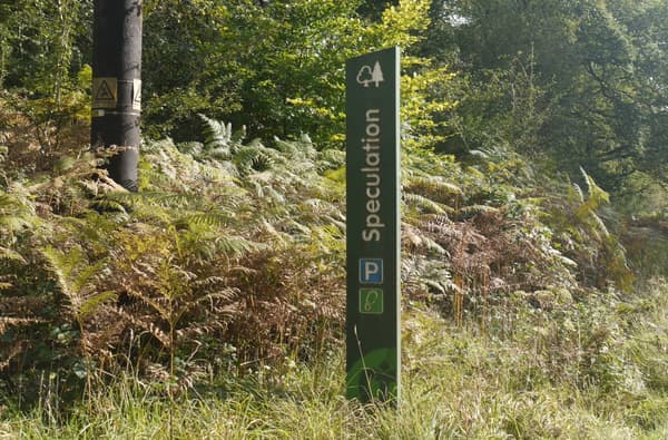 Speculation and Mireystock Sign