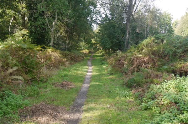 Speculation and Mireystock walking footpath