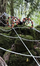 Puzzlewood Halloween 2025