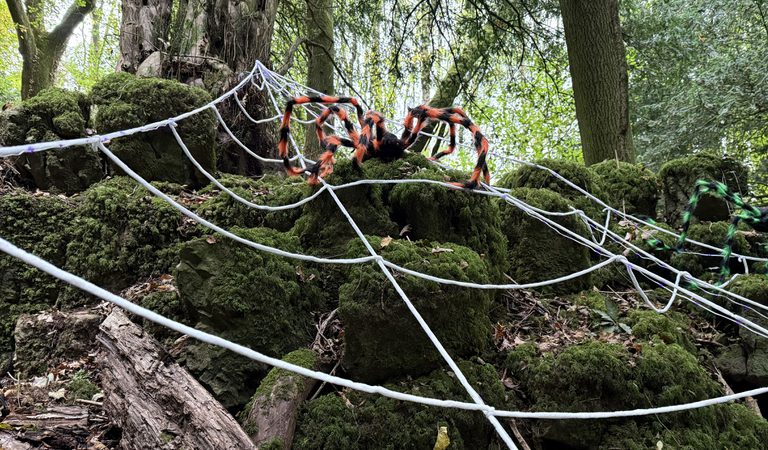 Puzzlewood Halloween 2025