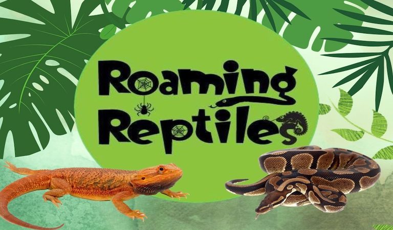 Roaming Reptiles at Elton Mazes