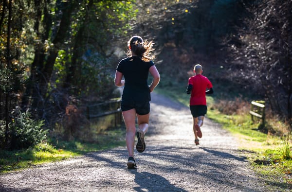 Running trails at Mallards credit Forestry England