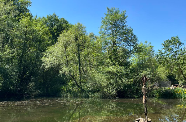 Dean Heritage Centre Pond View