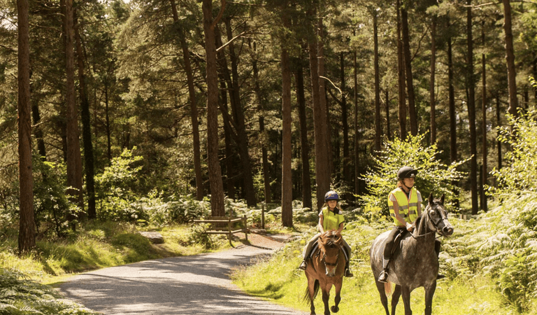 Dymock Woods