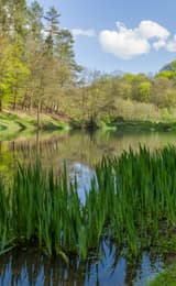 Soudley Waters Edge 1816121717