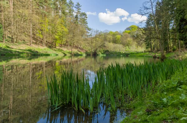 Soudley Waters Edge 1816121717