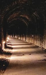 The Wye Valley Greenway Walk and tunnel
