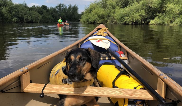 Way2 Go Adventures canoe with a dog